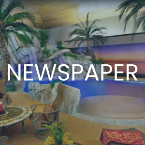 Newspaper